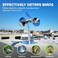 Bird B Gone Reflect-A-Bird Wind Spinner, Bird Deterrent Devices Outdoor to Scare Birds Away, Pigeon Deterrent to Keep Birds Away, Bird Reflector Woodpecker Deterrent for House, Bird Scare Devices