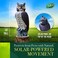 Gardeneer by Dalen SOL-R Action Solar Fake Owl Decoy to Scare Birds Away from Gardens, Rooftops, and Patios - Scarecrow Provides Chemical-Free Pest Control - Safe and Humane, 18" 360&ordm; Rotating Head