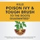 Roundup Concentrate Poison Ivy Plus Tough Brush Killer, 32 oz.