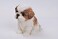 Hi-Line Gift Ltd Sitting Shih Tzu Puppy FigurineBrown/White