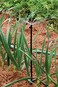 Rain Bird MSH2PKS Drip Irrigation 10-32 Threaded Micro-Spray Nozzle, 180&deg; Half Circle Pattern, 0-10.5' Spray Distance, 2-Pack,Black