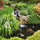 Tetra Pond Tetrapond 77189 Algae Control Treatment, 1000ml, 1-litre