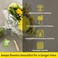 Chrysal Flower Food -100 Packets