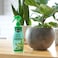 Miracle-GRO 100720 Leaf Shine