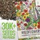 Seed Needs Wildflower Seeds Butterfly and Hummingbird Seed Mix 2 Ounce No Filler   23 Varieties Annual &amp; Perennial Species Such as Butterfly Milkweed, Cosmos &amp; Zinnia   Resealable Bulk Package