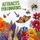 Seed Needs Wildflower Seeds Butterfly and Hummingbird Seed Mix 2 Ounce No Filler   23 Varieties Annual &amp; Perennial Species Such as Butterfly Milkweed, Cosmos &amp; Zinnia   Resealable Bulk Package