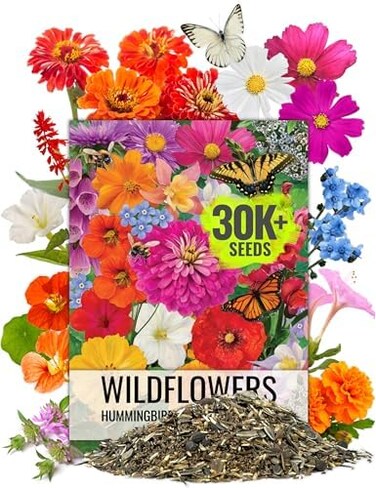Seed Needs Wildflower Seeds Butterfly and Hummingbird Seed Mix 2 Ounce No Filler   23 Varieties Annual &amp; Perennial Species Such as Butterfly Milkweed, Cosmos &amp; Zinnia   Resealable Bulk Package