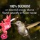 Perky-Pet 238 Hummingbird Nectar, 32-Ounce Concentrate