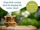 Sanco Industries 88002 Bird Bath &amp; Fountain Maintenance, 8 oz, natural