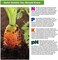 Luster Leaf 1602 Soil Kit, 20 Tests