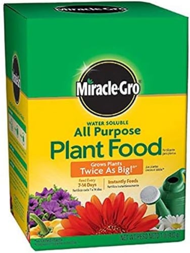 Miracle-Gro Pound 160101 Water-Soluble All Purpose Plant Food, 24-8-16, 1-Po
