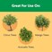 Miracle-Gro Shake 'N Feed Continuous Release Citrus, Avocado and Mango Plant Food Fertilizer