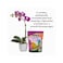 Sun Bulb Company Better Gro Orchid Plus Bloom Booster Fertilizer - 8305,16oz