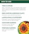 Burpee Organic All Purpose Granular Plant Food - 4lbs