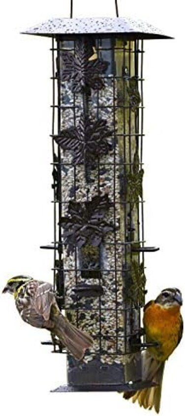 Perky-Pet 336-1SR Squirrel-Be-Gone Bird Feeder, 2LB Squirrel Proof Outdoor Wild Bird Feeder with Weight-Activated Perches