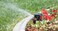 Toro 53720 25-Foot to 40-Foot Adjustable Pattern Underground Impact Sprinkler