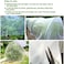 Gardeningwill 1.5M x 3M Mosquito Bug Insect Bird Fine Mesh Net Barrier Hunting Blind Garden Screen Netting for Protect Your Plant Fruits Flower