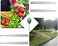 XLUX Plant Moisture Tester, Humidity Meter Hygrometer for Flowerpot, Garden, Farm, Yard, No Batteries Needed