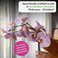 Grow More Orchid - 15oz Premium Orchid Food 30-10-10