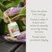 Garden Safe Take Root Rooting Hormone, Promotes Rooting, Grow New Plants From Cuttings, (12 pack) 2 Ounce