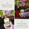 Garden Safe Take Root Rooting Hormone, Promotes Rooting, Grow New Plants From Cuttings, (12 pack) 2 Ounce