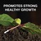 Doff Natural Rooting Powder
