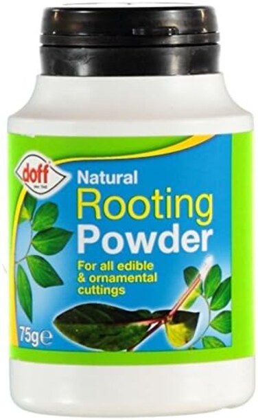 Doff Natural Rooting Powder