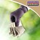 Bonide Bat Magic Bat Repellent