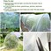 Gardeningwill 3M x 3M Mosquito Bug Insect Bird Fine Mesh Net Barrier Hunting Blind Garden Screen Netting for Protect Your Plant Fruits Flower