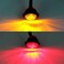 اف اكس سي مصباح LED دائري 10 × 3/4 انش من بيوريشين، مؤشرات مؤشرات جانبية امامية وخلفية للشاحنة والحافلات والمقطورة والقارب والكارافان، مصباح فرامل خلفي 12 فولت (5 كهرماني + 5 احمر)