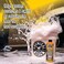 Chemical Guys Bug &amp; Tar Heavy Duty Car Wash Shampoo (16 Oz), Cws_104_16