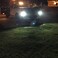 الا لايتنينج قطعتان من مصابيح LED فائقة السطوع 1000 لومن 921 912 T15 W16W عالية الطاقة 4014 30-SMD مصابيح LED بديلة لمصابيح الإضاءة العكسية الاحتياطية