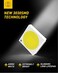 AUXITO CANBUS Error Free 4-SMD 3030 Chipset 31mm (1.25 inch) DE3175 DE3021 Festoon 6000K Xenon White LED Bulbs Replacement for Interior Map Dome License Plate Lights Lamps (Pack of 4)