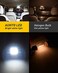 AUXITO CANBUS Error Free 4-SMD 3030 Chipset 31mm (1.25 inch) DE3175 DE3021 Festoon 6000K Xenon White LED Bulbs Replacement for Interior Map Dome License Plate Lights Lamps (Pack of 4)
