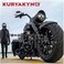 Kuryakyn 9126 Motorcycle Handlebar Accessory: Complete Chrome Replacement Brake and Clutch Control Dress-Up Kit for 1996-2017 Harley-Davidson Motorcycles, Single Disc