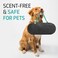 PURGGO Car Air Freshener - Lasts 365+ Days - No Chemicals - 100% Activated Bamboo Charcoal - Fragrance-Free Deodorizer, Natural Auto Odor Eliminator, Air Purifier, Neutralizer, Absorb Smoke Smell