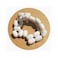 BBTCTY Magnetic Stirrer Stir Bar PTFE Magnetic Mixer Stir Bars (6X10mm, Cylinder Shape, 10PCS)