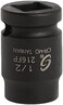 Sunex 216fp 1/2-Inch Drive 1/2-Inch Female Pipe Plug Socket