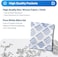 Dry &amp; Dry 100 Gram [25 Packet] Silica Gel Packets - Rechargeable Desiccant Packs for Food Storage