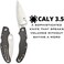 Spyderco Caly 3.5 Folding Knife - Black Carbon Fiber Handle with PlainEdge, Full-Flat Grind, ZDP-189 Steel Blade and Back Lock - C144CFPE