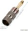 FosPower Banana Plugs 12 Pairs / 24 pcs, Closed Screw 24K Gold Plated Banana Speaker Plug Connectors for Speaker Wire, Wall Plate, Home Theater, Audio/Video Receiver, Amplifiers and Sound Systems