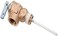 Reliance Water Heater 100108280 Temperature and Pressure Relief Valve