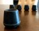 Shepherd Hardware 9224 1-1/4-Inch Inside Diameter Rubber Leg Tips, 2-Pack, Black