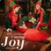 Handy Laundry, Christmas Wreath Storage Bag - Durable, Tarp Material, Zipper, Sturdy Carry Handles, Pest Protection - Ideal Home, Garage Organization for Seasonal Holiday Wreath Decorations. (30")