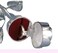 Elegance Long Stem Rose Ring Holder, 9", Silver
