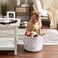 Bone Dry Pet Storage Collection Lattice Paw Print, Small Round, White/Gray