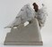 Avalon Gallery (Nativity Angel) - CB Gift TC616 Nativity Angel Figurine, 20cm