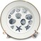 3dRose cp_155830_1 Blue Sea Shells Nautical Beach Theme Ocean Art Porcelain Plate, 8