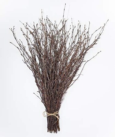 ECOVENIK 50 psc. Birch Twigs &ndash; 100% Natural Decorative Birch Branches for Vases, Centerpieces &amp; DIY Crafts &ndash; Birch Sticks for Decorating (16-18 Inch)