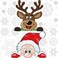 CCINEE 300 PCS 8 Sheet Christmas Snowflake Window Cling Stickers for Glass, Xmas Decals Decorations Holiday Snowflake Santa Claus Reindeer Decals for Party